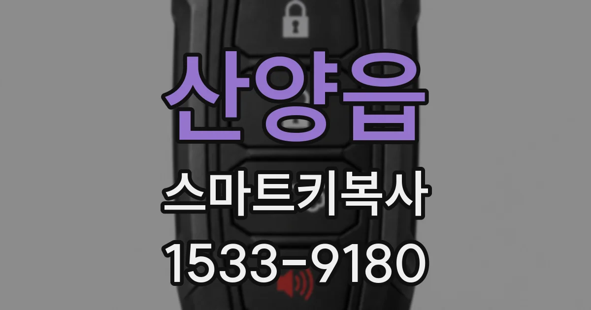 산양읍 스마트키복사