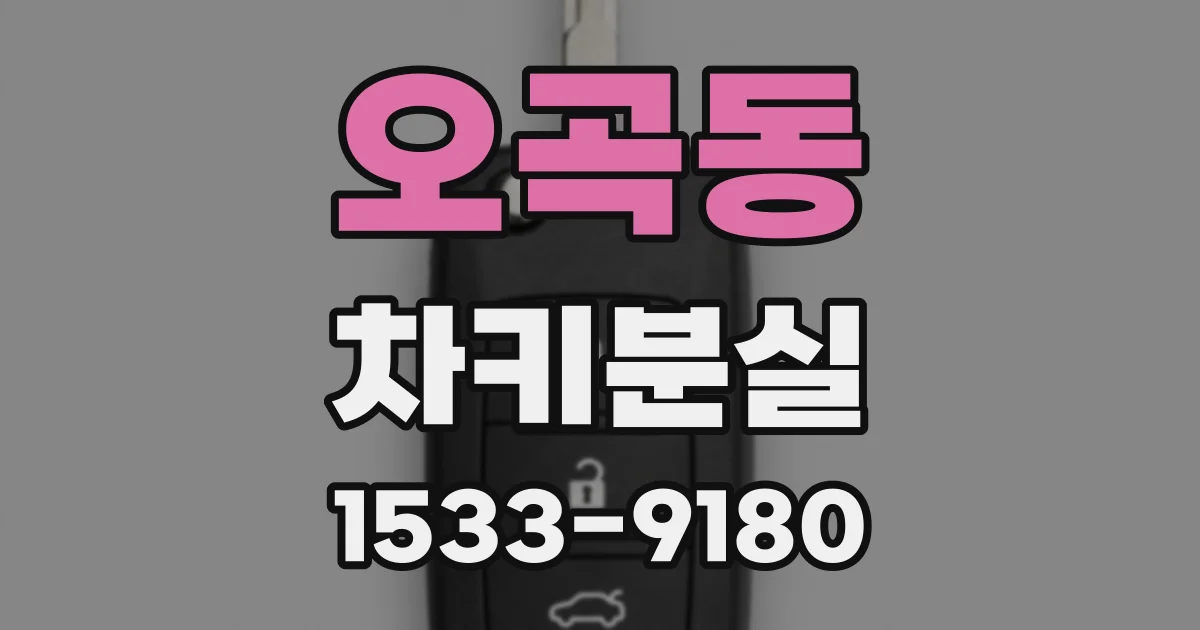 오곡동 차키분실