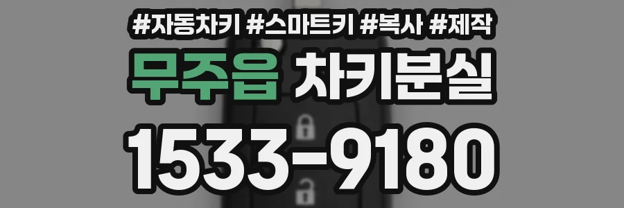 무주읍 차키분실