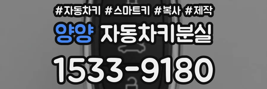 양양 자동차키분실