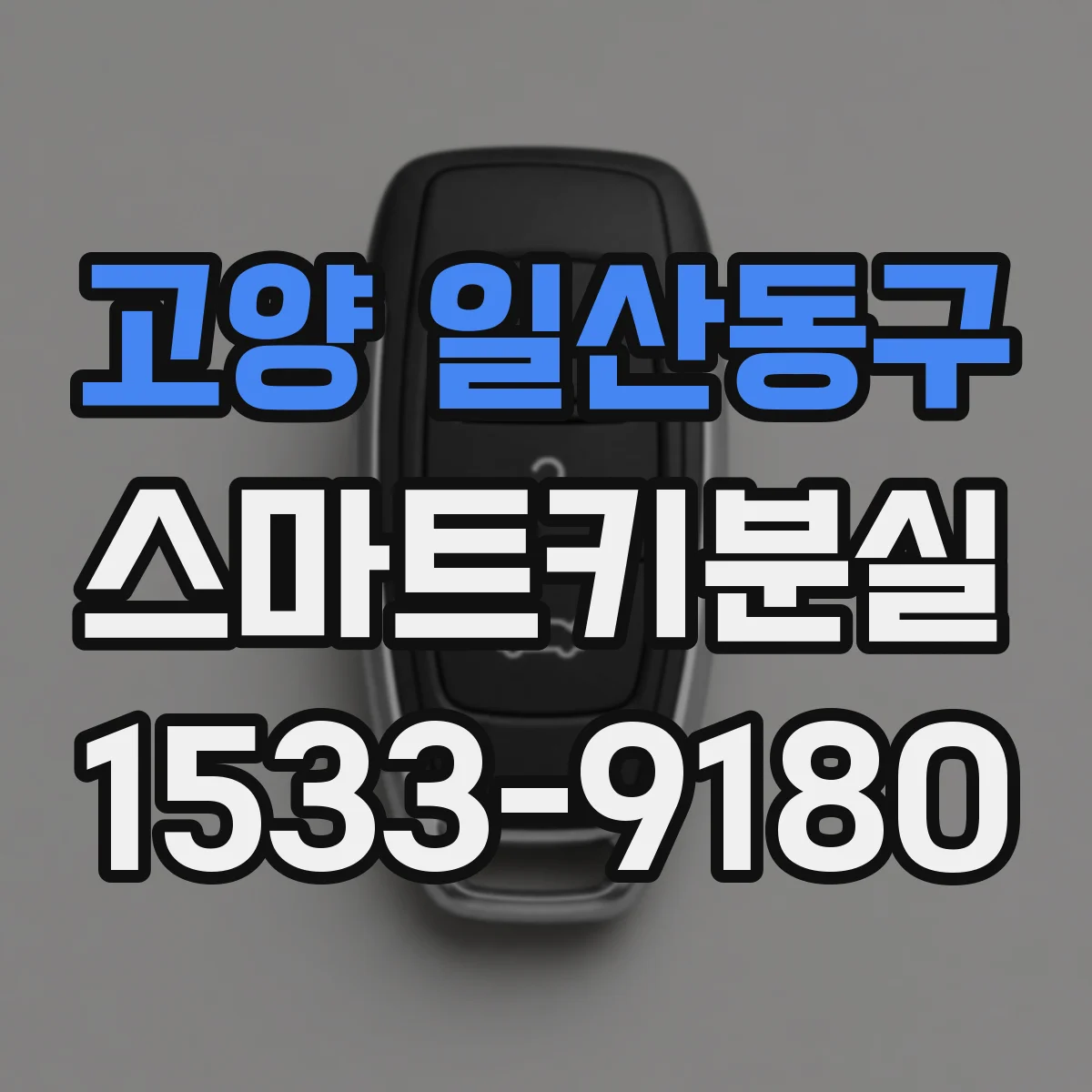 고양 일산동구 스마트키분실