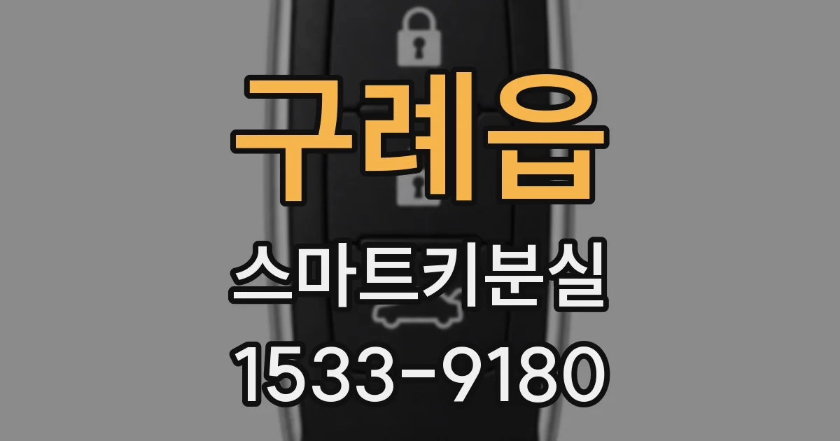 구례읍 스마트키분실