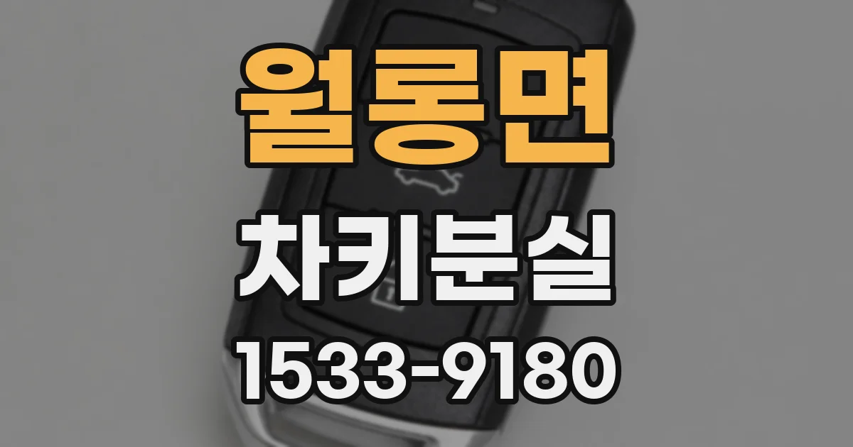 월롱면 차키분실