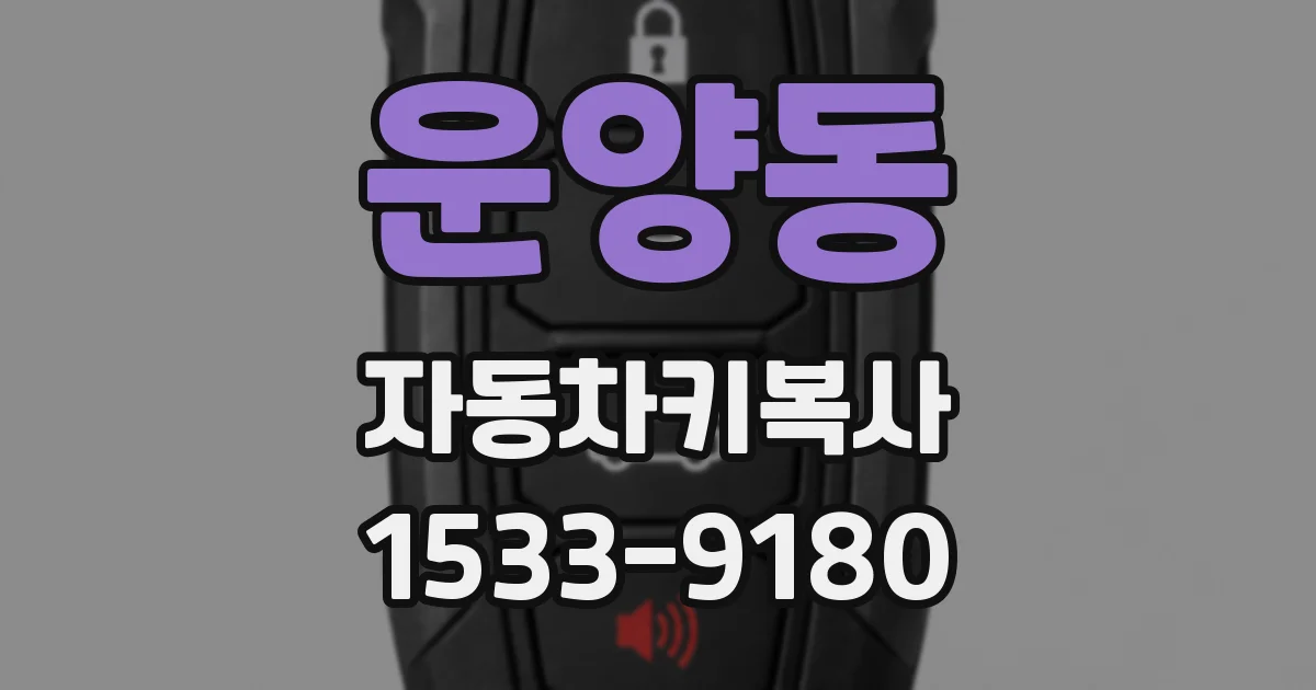 운양동 자동차키복사