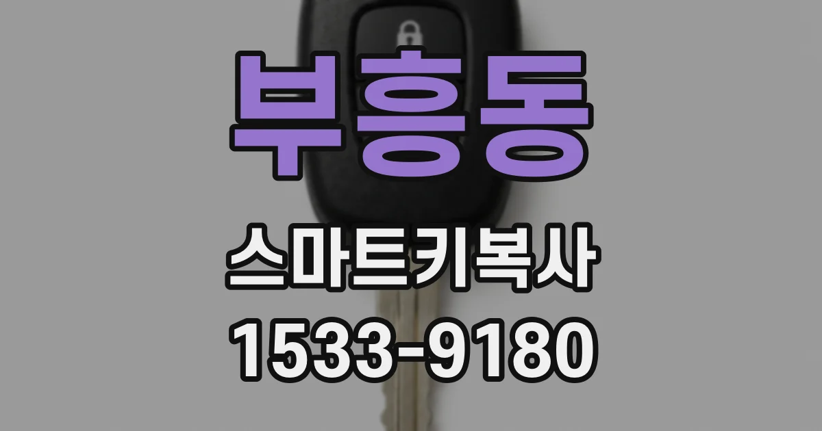 부흥동 스마트키복사