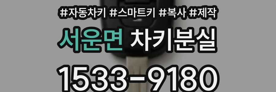 서운면 차키분실