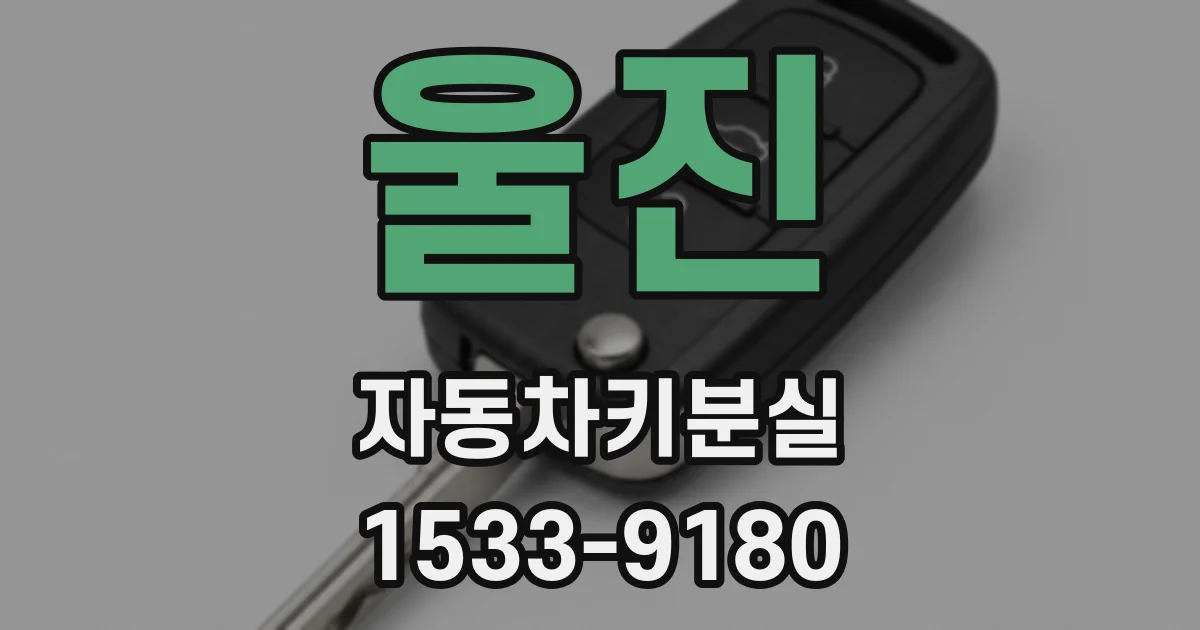 울진 자동차키분실