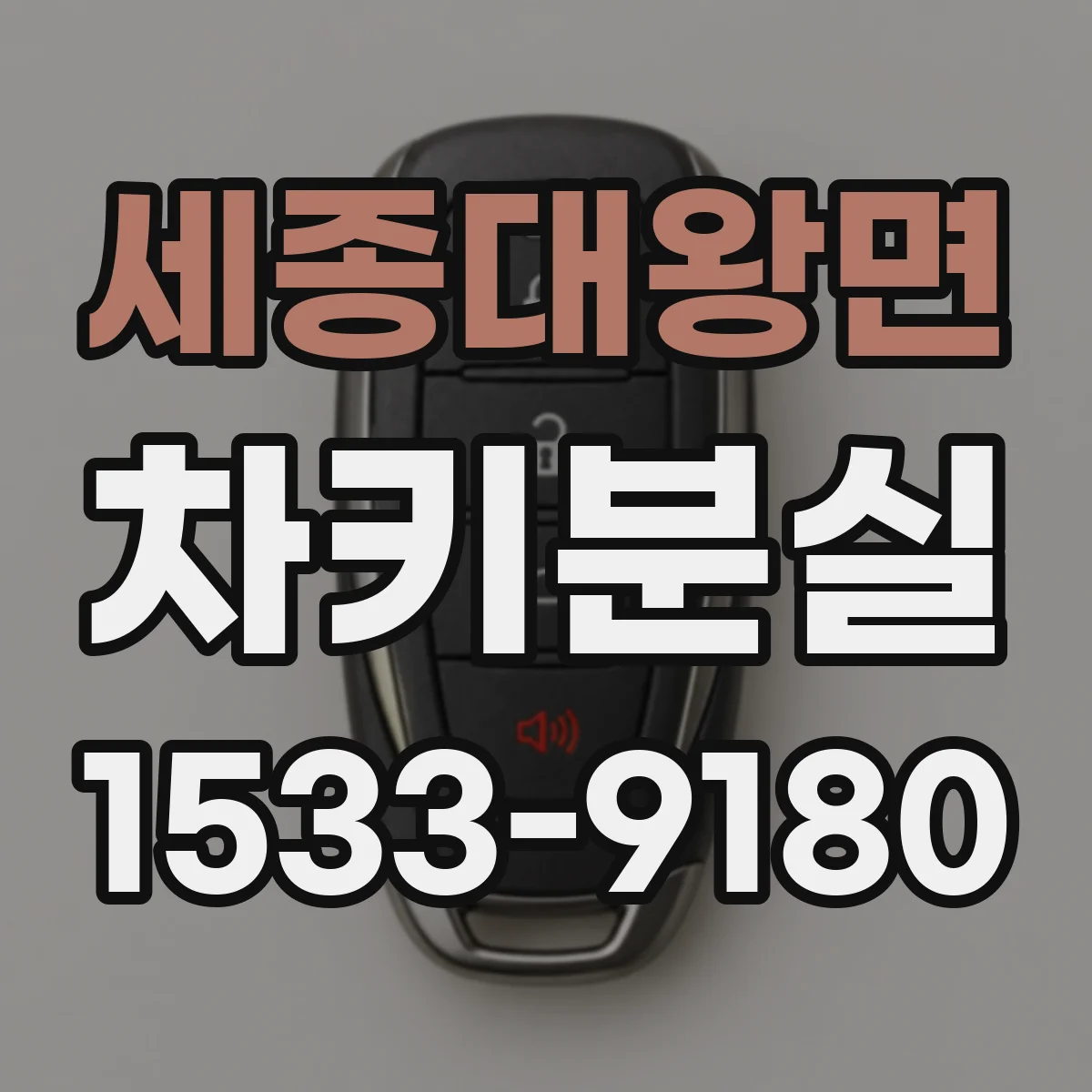 세종대왕면 차키분실