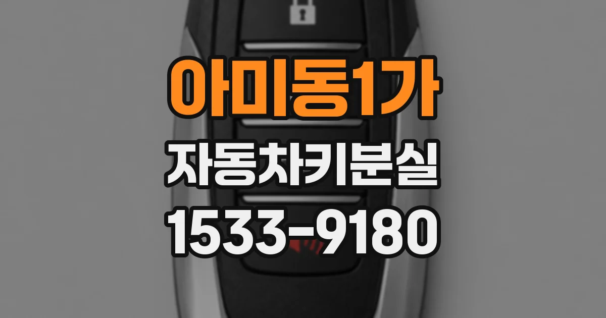 아미동1가 자동차키분실