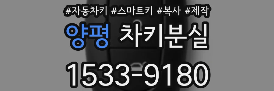 양평 차키분실