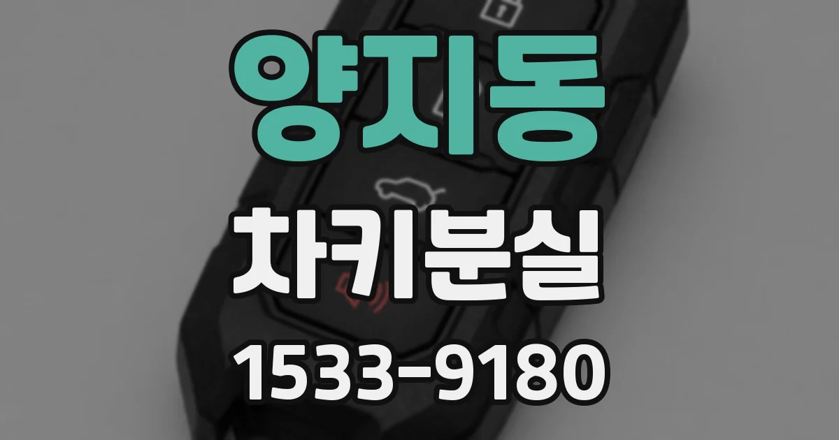 양지동 차키분실