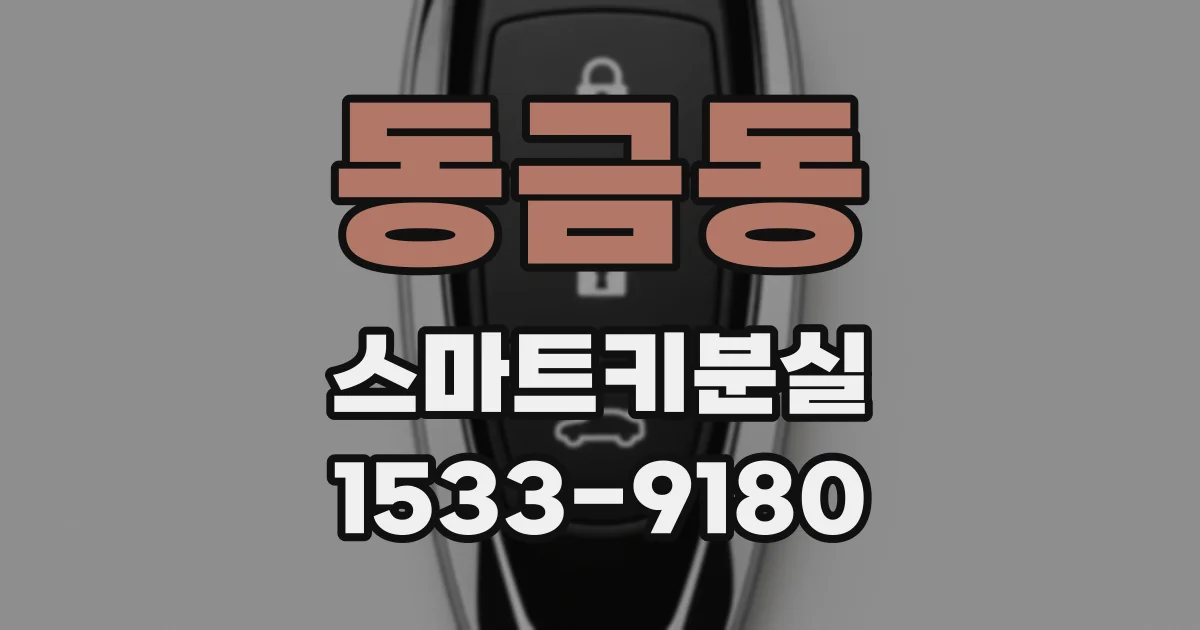 동금동 스마트키분실