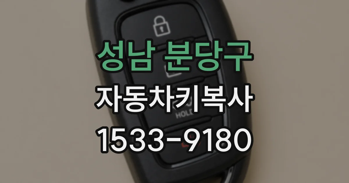 성남 분당구 자동차키복사