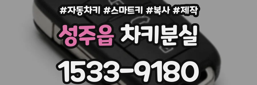 성주읍 차키분실