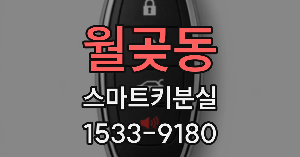 월곶동 스마트키분실