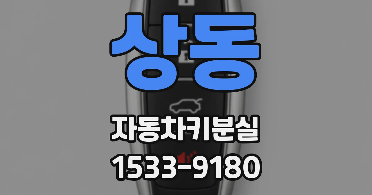 상동 자동차키분실