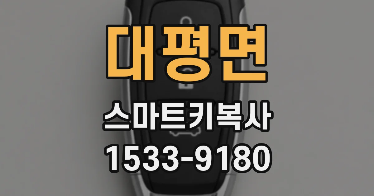 대평면 스마트키복사