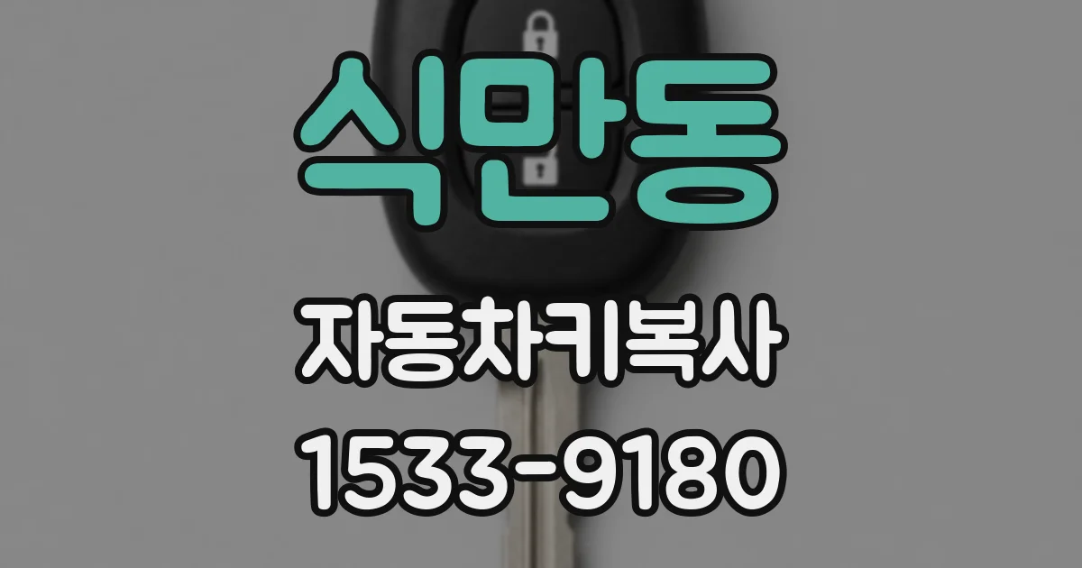 식만동 자동차키복사