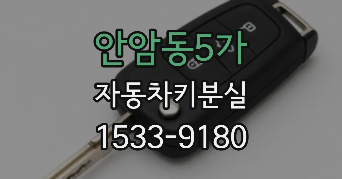 안암동5가 자동차키분실