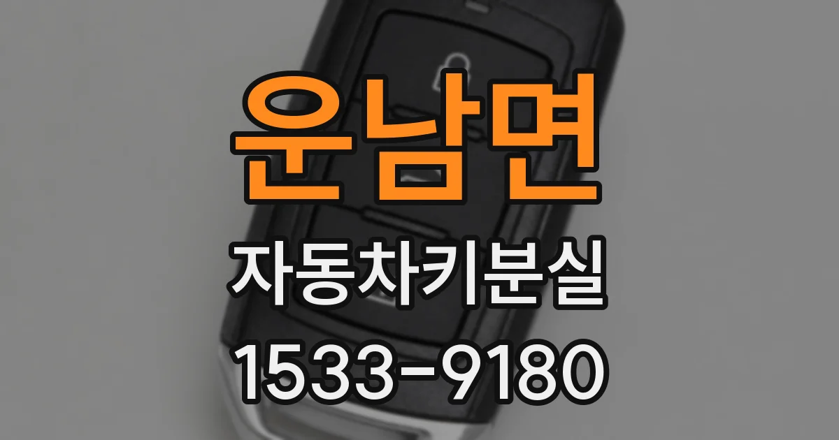 운남면 자동차키분실