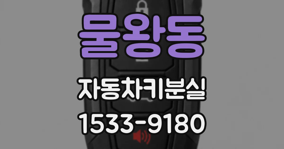 물왕동 자동차키분실