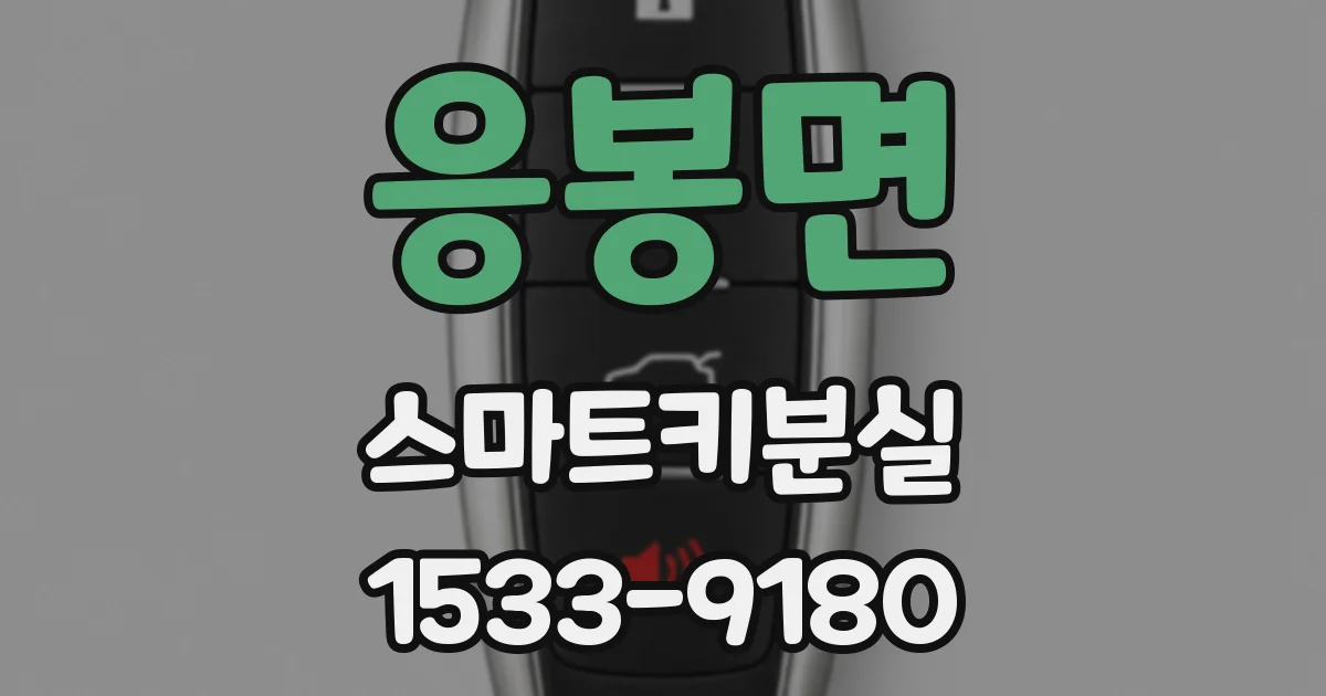 응봉면 스마트키분실