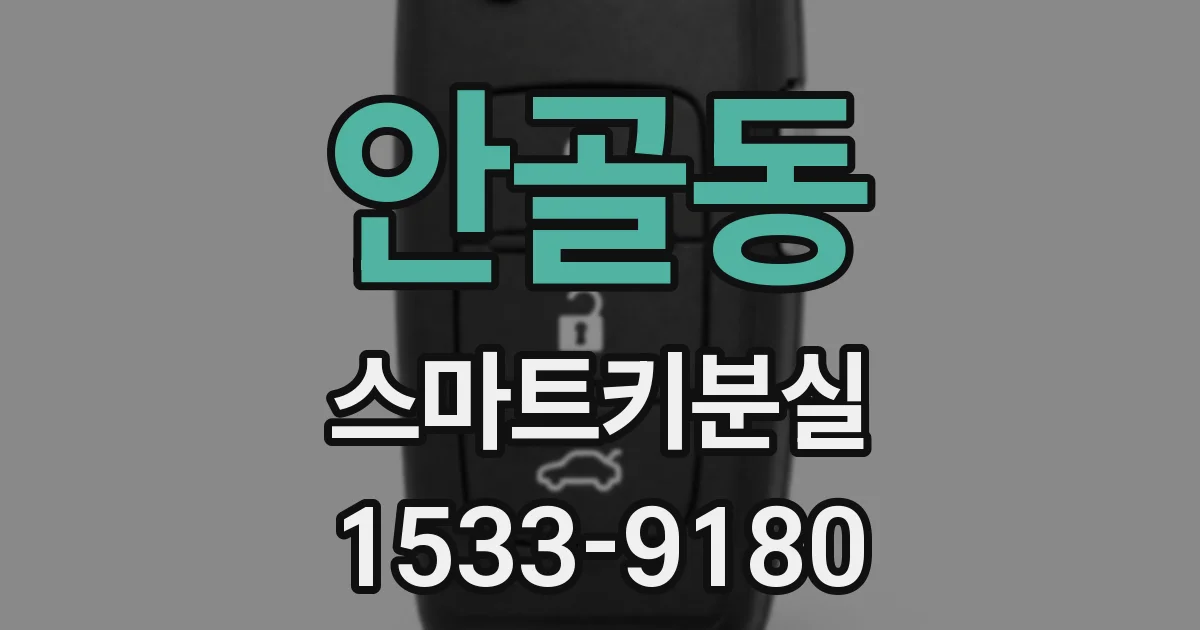 안골동 스마트키분실