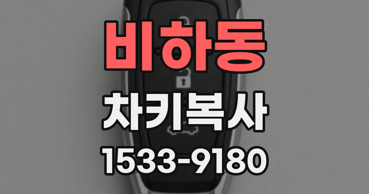 비하동 차키복사