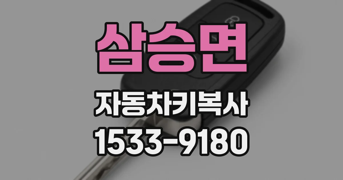 삼승면 자동차키복사