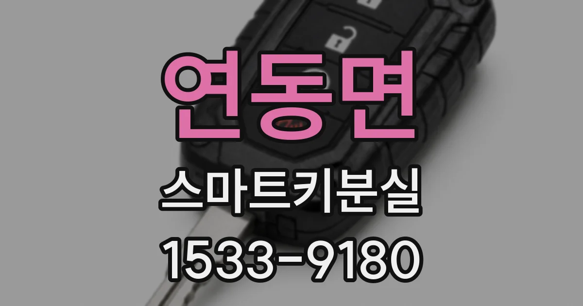 연동면 스마트키분실