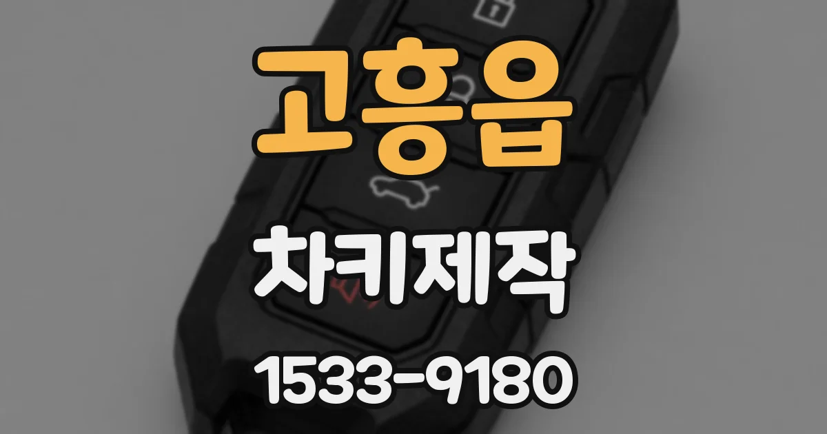 고흥읍 차키제작