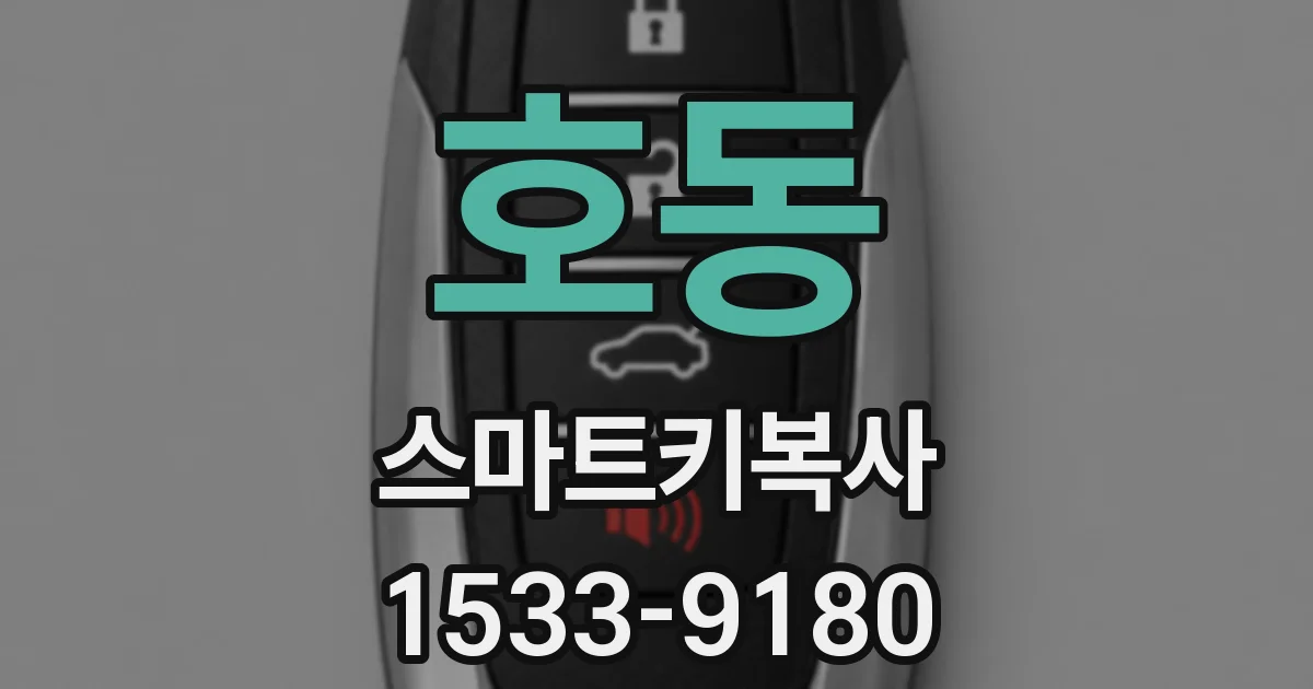 호동 스마트키복사