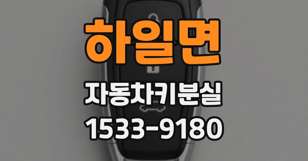 하일면 자동차키분실