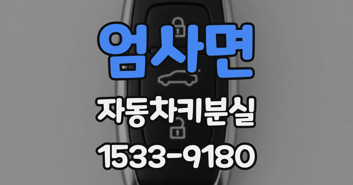 엄사면 자동차키분실