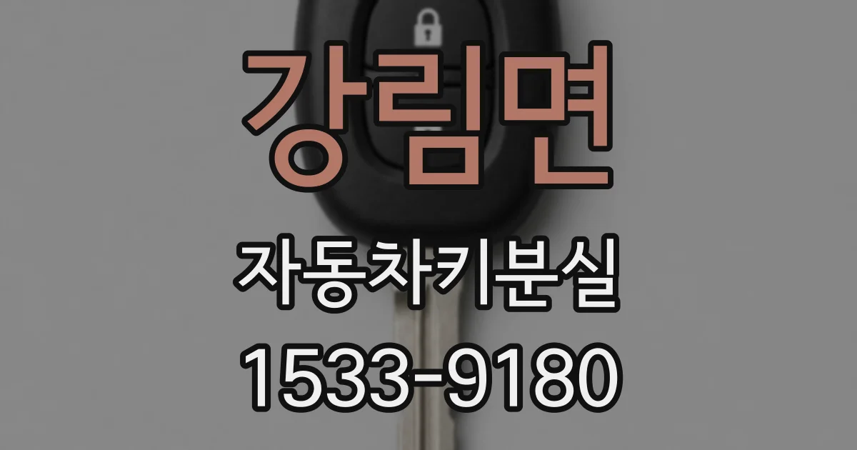 강림면 자동차키분실