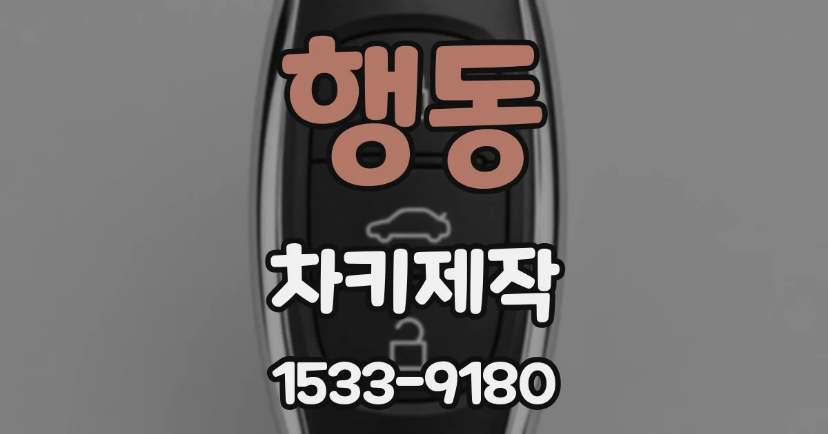 행동 차키제작
