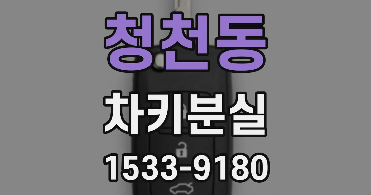 청천동 차키분실