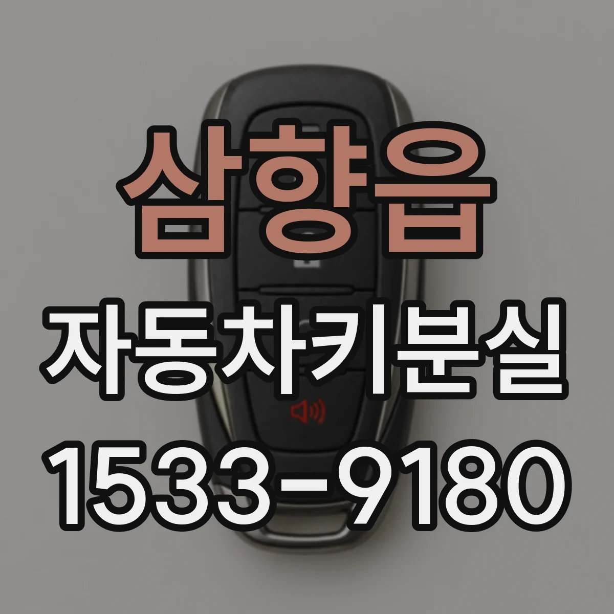 삼향읍 자동차키분실