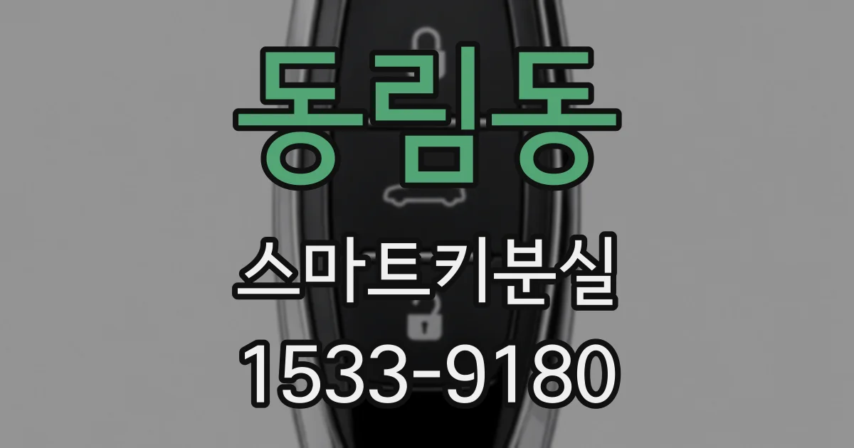 동림동 스마트키분실