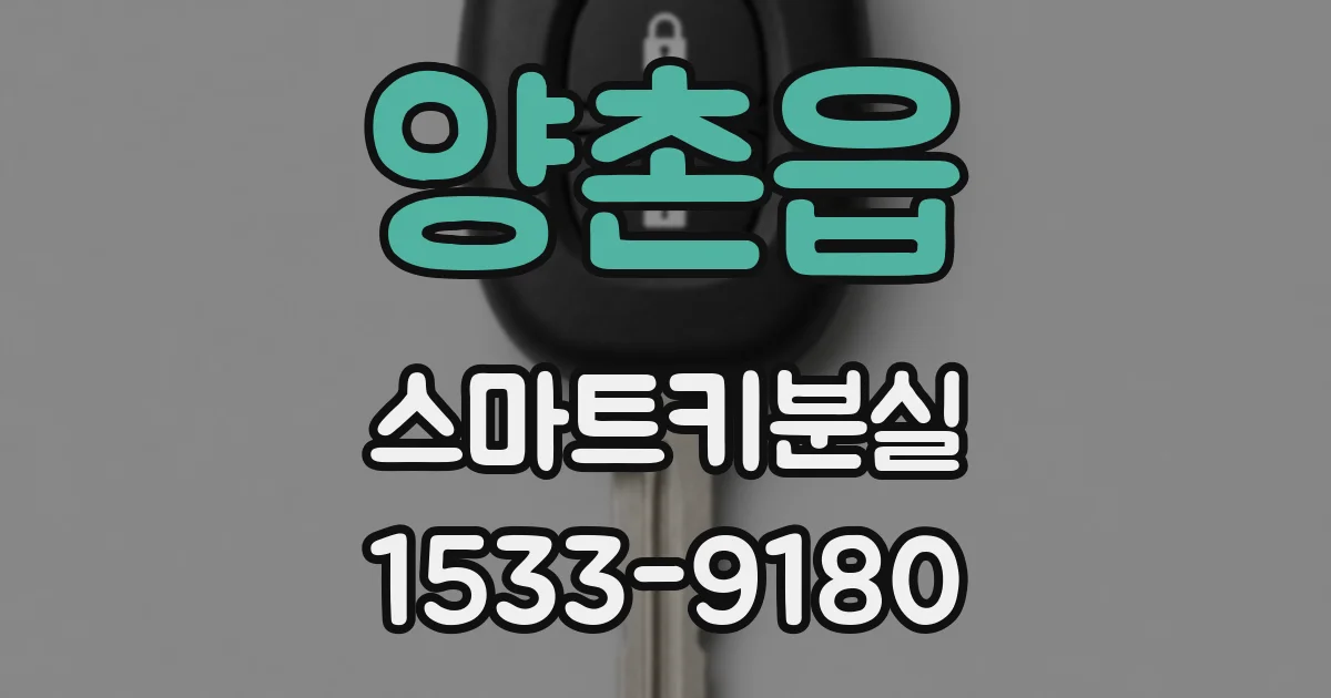 양촌읍 스마트키분실