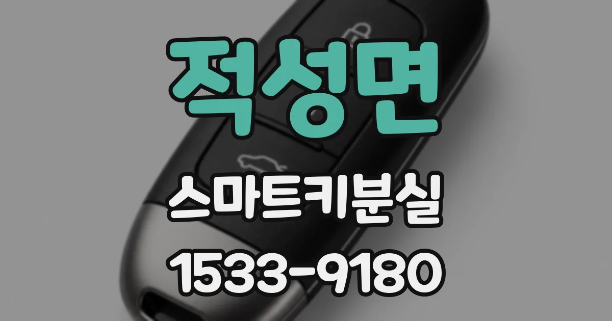 적성면 스마트키분실