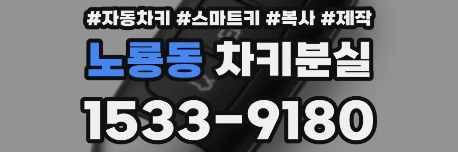 노룡동 차키분실
