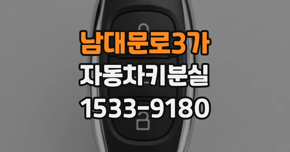 남대문로3가 자동차키분실