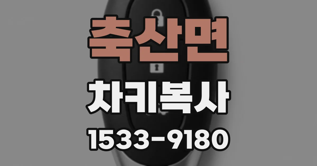 축산면 차키복사