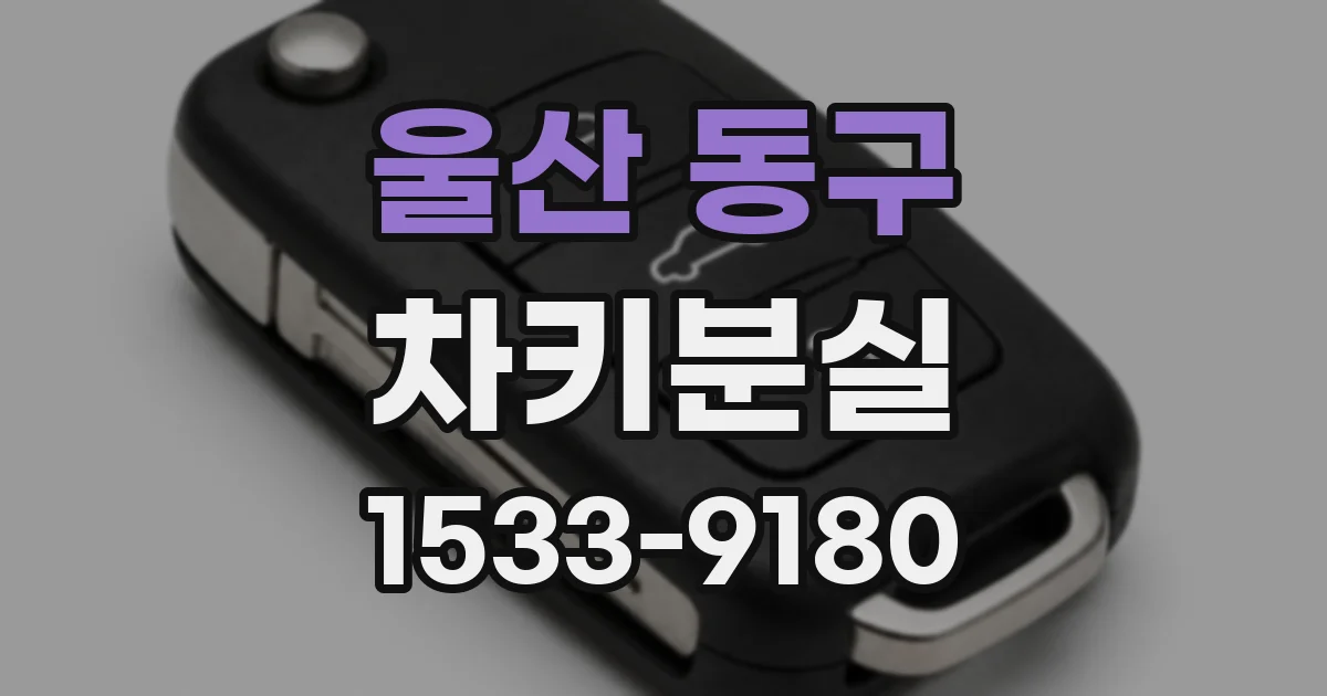 울산 동구 차키분실