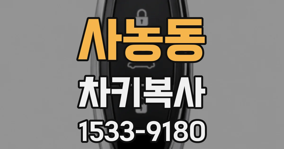 사농동 차키복사