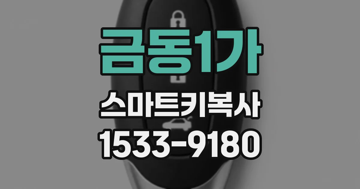 금동1가 스마트키복사