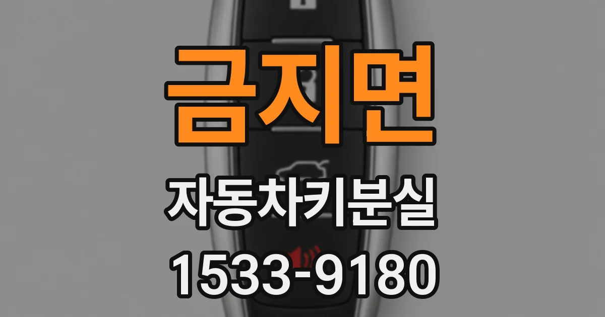 금지면 자동차키분실