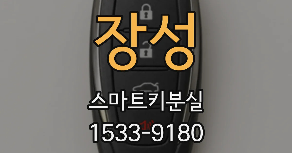 장성 스마트키분실