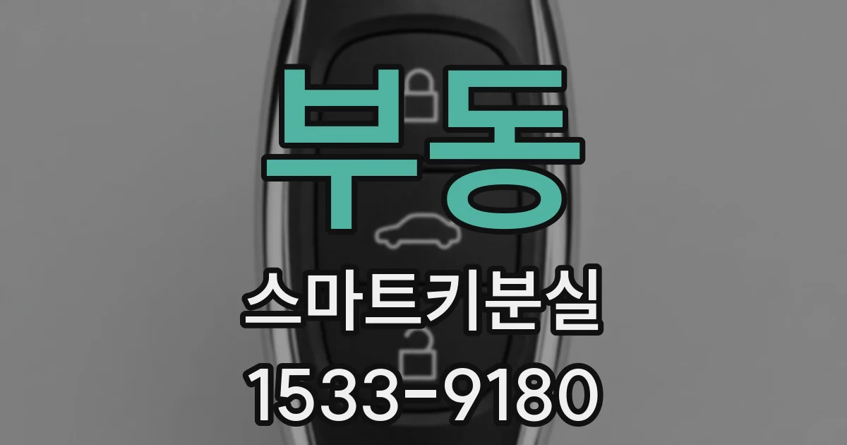 부동 스마트키분실